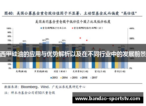 西甲硅油的应用与优势解析以及在不同行业中的发展前景